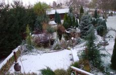 WInter_1.jpg