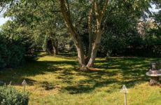 garten_4255.jpg