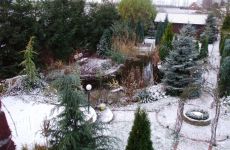 Winter.jpg